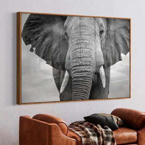 Quadro Decorativo Elefante preto e Branco em Moldura Caixa Tacolado Moldura Trad 1cm Preta com Vidro