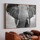 Ver imagem 1 de Quadro Decorativo Elefante preto e Branco em Moldura Caixa Tacolado Moldura Trad 1cm Preta com Vidro