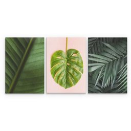 Conjunto Quadros Decorativos Folha Costela de adão 28x40cm - 4