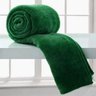 Manta Margex Queen Microfibra Verde 2,20x2,40M Decor Home - 1