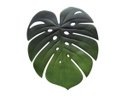 Ver imagem 1 de LUGAR AMERICANO GIARDINO FOLHA DE ADAO SILVESTRE