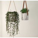 Ver imagem 2 de Cachepot Suspenso Em Cimento Efeito Marmorizado