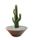 Ver imagem 1 de Vaso Planta 40x15 Bacia de Mesa Polietileno - AREIA 001