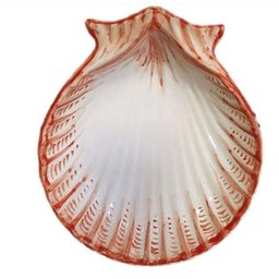 Conchas para servir petiscos - 1