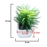 Suculenta Mini Planta Artificial com Vaso Branco Mudas Decoração Festa 4 Unid (Sh-1 Mod Kit4) - 3