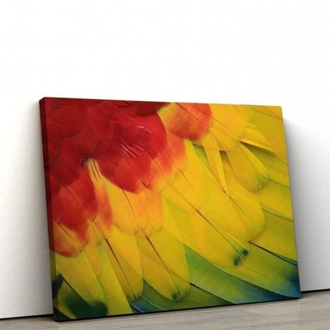 Quadros Decorativos de Pvc 021 60 X90 Cm