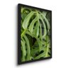 Quadro Decorativo Costelas de Adão Plantas 45x33 C/vidro - 2