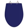 Assento Sanitário Absolute Azul Para Louça Ideal Standard - 1