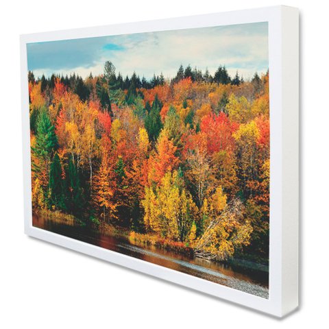 Quadro Decorativo Caixa Alta com Vidro Árvores de Outono TaColado Moldura Branca 90 x 60cm