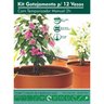 Kit Irrigação Gotejamento para 12 Vasos com Temporizador Manual 2h - 2