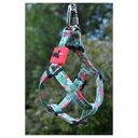 Ver imagem 4 de Coleira Cachorros com Guia Flamingo M Style