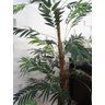 Planta Artificial Árvore Palmeira Havaí 1,70 metros de altura - 3