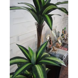 Planta Artificial Árvore Dracena Variegata 1,70 metros de altura - 3 Planta Artificial Árvore Dracena Variegata 1,70 metros de altura - 3