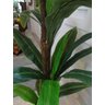 Planta Artificial Árvore Strelitzia 1,80 Mt de Altura - 3