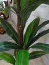Ver imagem 3 de Planta Artificial Árvore Strelitzia 1,80 Mt de Altura