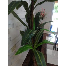 Planta Artificial Árvore Strelitzia 1,80 Mt de Altura - 4