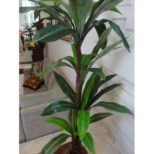 Planta Artificial Árvore Strelitzia 1,80 Mt de Altura | MadeiraMadeira