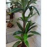 Planta Artificial Árvore Strelitzia 1,80 Mt de Altura - 2