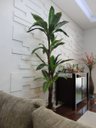 Ver imagem 1 de Planta Artificial Árvore Strelitzia 1,80 Mt de Altura