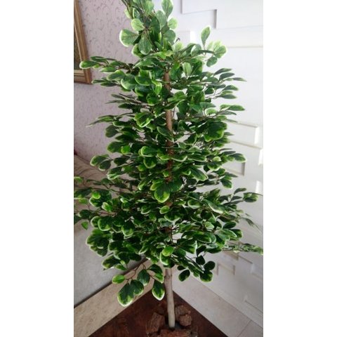 Planta Artificial Árvore Scheffera 1,60 Metros de Altura