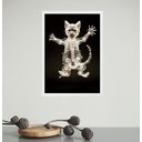 Ver imagem 2 de Quadro Decorativo Esqueleto de Gato 33x24cm:moldura Branca