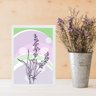 Quadro Decorativo Lavanda - Lilás e Verde 24x18cm - com Vidro:moldura Branca - 1