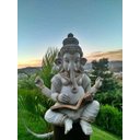 Ver imagem 2 de Estátua Ganesha Resina para Jardim Acinzentada Marmorizada Prosperidade Yoga Flor de Lótus