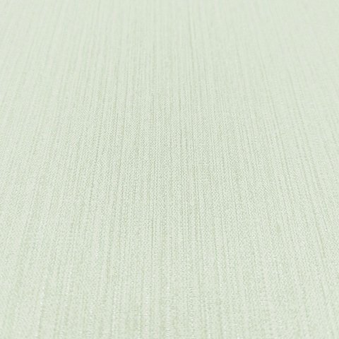 Papel de Parede Texturizado Verde Claro Vinilico Lavável+ Cola Inclusa Cr333112r