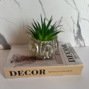 Ver imagem 4 de Livro de papelão 'Decor' e vaso de vidro trabalhado âmbar