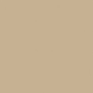 Papel de Parede Rustic Country PA130503 Vinílico