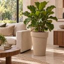 Ver imagem 4 de Vaso Alto de Plantas 70cm Tramontina Gipsy Plástico Granito