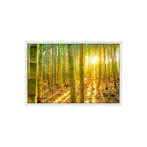 Quadro Decorativo Árvores Bambu: Mod. 0397 Collor-ink Mod.0397 50 X 75cm Branco