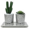 Par Vasinhos Vidro Suculenta e Cacto com Bandeja Strass - 1