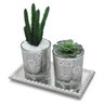 Par Vasinhos Vidro Suculenta e Cacto com Bandeja Strass - 2