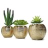 Trio de Vasinhos de Cerâmica com Suculentas e Cactos - 4