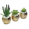 Trio de Vasinhos de Cerâmica com Suculentas e Cactos - 3
