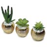 Trio de Vasinhos de Cerâmica com Suculentas e Cactos - 2