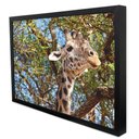 Ver imagem 3 de Quadro Decorativo Girafa em Moldura Caixa Tacolado Moldura Trad 1cm Madeira Escura com Vidro 20 X 30