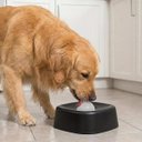 Ver imagem 4 de Comedouro Lento Tigela de Lamber Caes Gatos Cachorros Pet Filhote Alimentador Petisco Liquido Brinqu