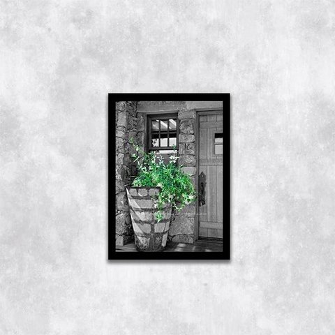 Quadro Fotografia Vaso com Plantas 24x18cm - com vidro:Madeira preta