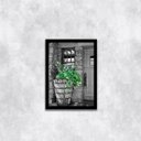 Ver imagem 1 de Quadro Fotografia Vaso com Plantas 24x18cm - com vidro:Madeira preta