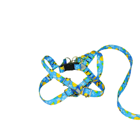 Conjunto Peitoral e Guia Ajustável RBPet - Cães e Animais de Micro Porte