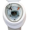 Ver imagem 2 de Adesivo Halloween Vaso Sanitário com Aranhas