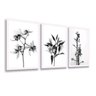 Quadro Decorativo Folhagens Flores Preto E Branco - 1