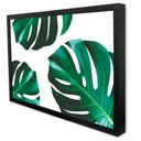 Ver imagem 3 de Quadro Decorativo Caixa Floral Folhagem Costela de Adão Tacolado Moldura Caixa 3cm Madeira com Vidro