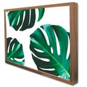 Ver imagem 4 de Quadro Decorativo Caixa Floral Folhagem Costela de Adão Tacolado Moldura Caixa 3cm Madeira com Vidro