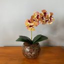 Ver imagem 2 de Arranjo Toque Real de Orquídea Rosa Tigre Centro de Mesa no Vaso Transparente