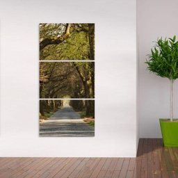 Quadro decorativo Corredor de Árvores Vertical Natureza - 1