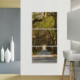 Quadro decorativo Corredor de Árvores Vertical Natureza - 2