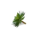 Ver imagem 2 de Rosa de Pedra (10cm) - Verde